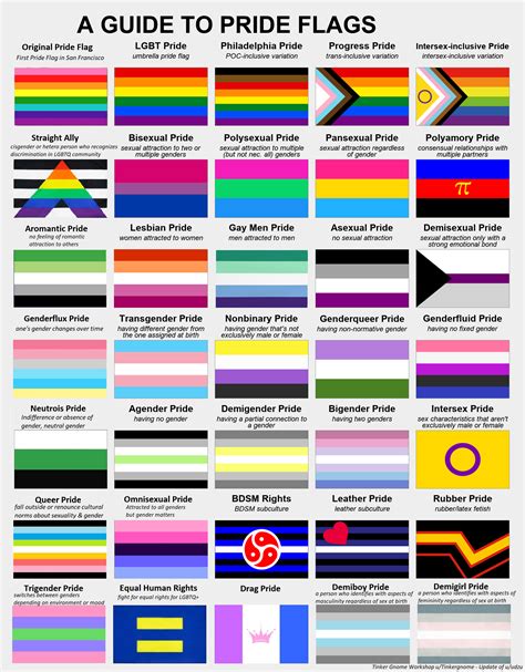 Pride Flag Guide: Omnisexual 